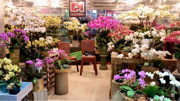 Thêm một địa chỉ chọn lựa hoa sang - sành - nghệ thuật tại Hà Nội
