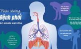 COPD có những triệu chứng điển hình nào?