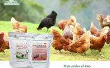 Những sản phẩm thực phẩm vỗ béo hiệu quả cho vật nuôi