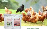 Những sản phẩm thực phẩm vỗ béo hiệu quả cho vật nuôi