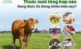 Thuốc nuôi tổng hợp chất lượng: Nên chọn loại nào?