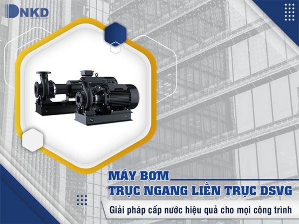 máy bơm trục ngang dsvg 