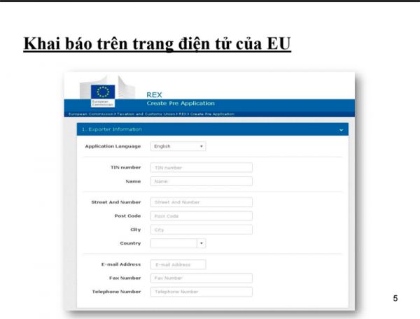 quy trình xin cấp mã số REX