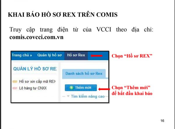 quy trình xin cấp mã số REX