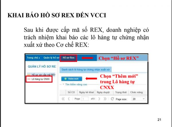 quy trình xin cấp mã số REX