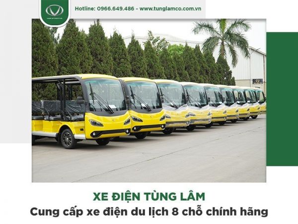 Khám phá tiềm năng phát triển khi đầu tư xe điện du lịch 8 chỗ