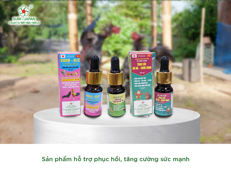 Mua thuốc thú y chuyên dùng cho gà chọi: Lựa chọn ngay Sumi - Japan Pharma