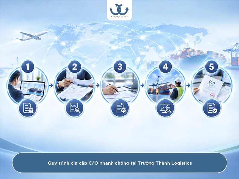 thue-dich-vu-xin-cap-co-hay-tu-lam-so-sanh-thoi-gian-chi-phi-va-rui-ro-5