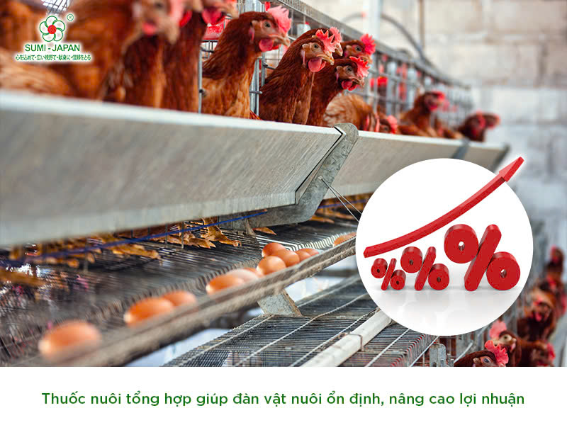 thuốc nuôi tổng hợp