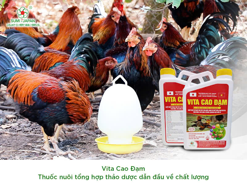 thuốc nuôi tổng hợp