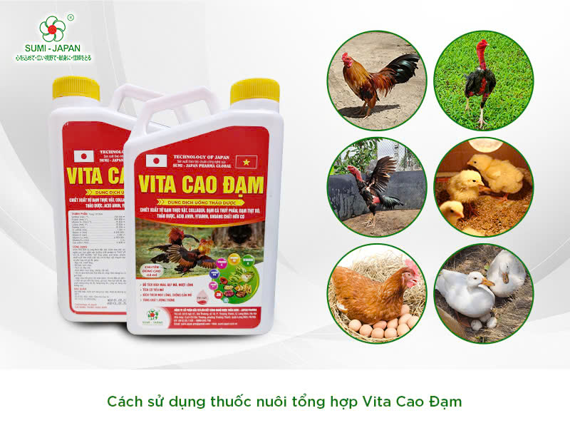 thuốc nuôi tổng hợp
